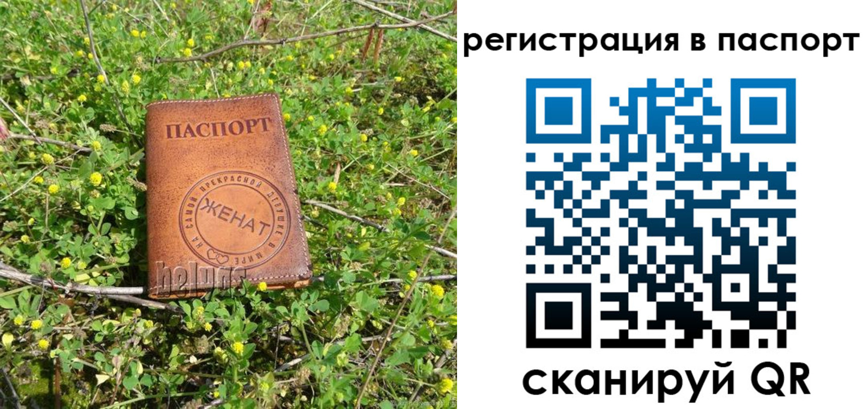 прописка законно в Ардоне